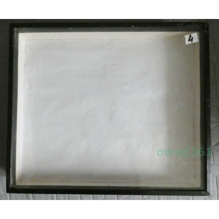 GABLOTA ENTOMOLOGICZNA OKLEINOWANA OSZKLONA 42/36cm z wyścieleniem (używana)4